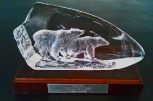 Vandringspriset Arets badare - en glasskuptur med två isbjörnar