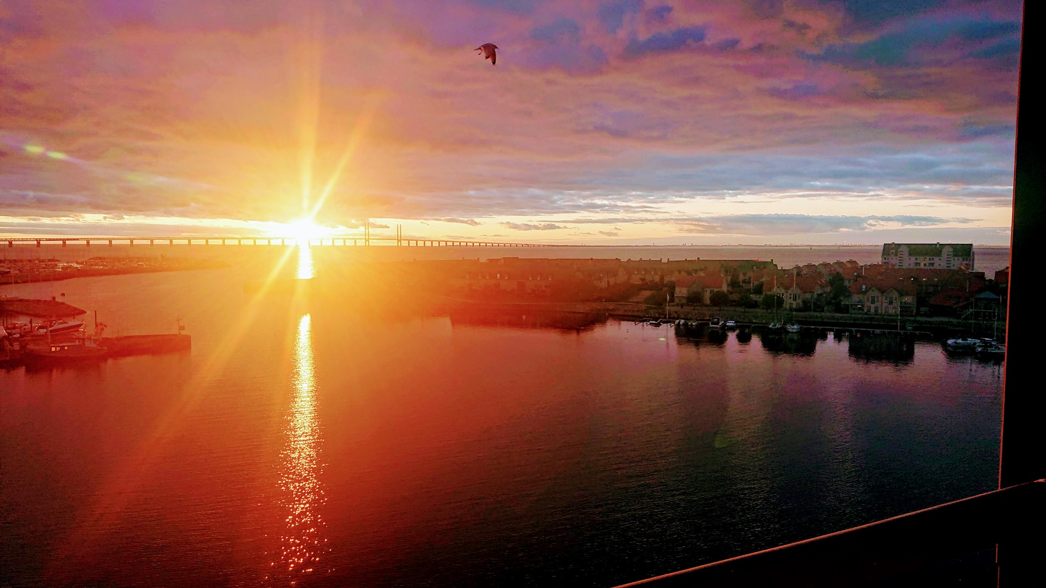 Solnegång över Öresundsbron sedd från Dragörkajen Foto: L-G Bengtsson 2020